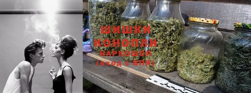 цена   Володарск  Каннабис конопля 